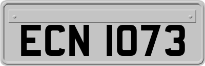 ECN1073