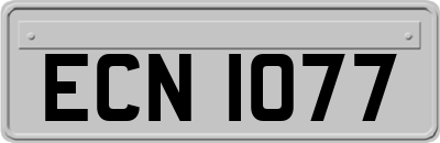 ECN1077