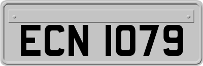 ECN1079