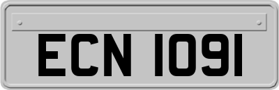 ECN1091