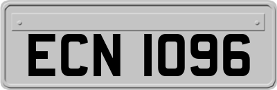 ECN1096