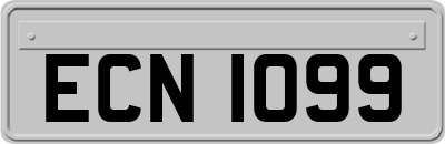 ECN1099