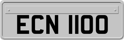ECN1100