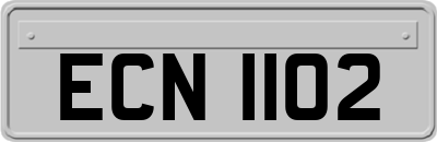 ECN1102
