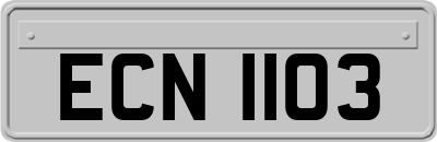 ECN1103