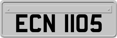 ECN1105