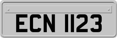 ECN1123