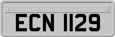 ECN1129