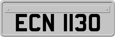 ECN1130