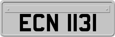 ECN1131