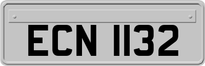 ECN1132
