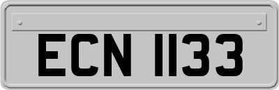 ECN1133