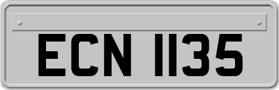 ECN1135