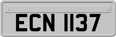 ECN1137