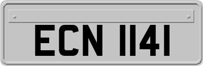 ECN1141