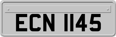 ECN1145