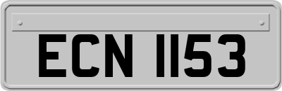 ECN1153