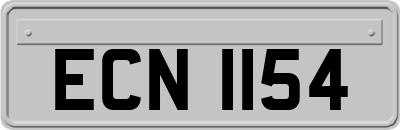 ECN1154