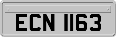 ECN1163