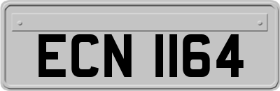 ECN1164