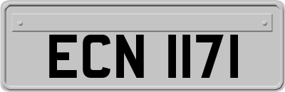ECN1171