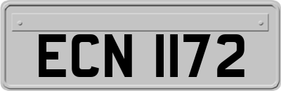ECN1172
