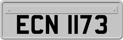 ECN1173