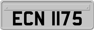 ECN1175