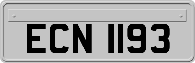 ECN1193