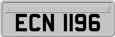 ECN1196