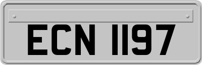 ECN1197