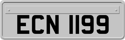 ECN1199