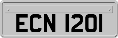 ECN1201