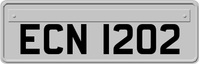 ECN1202