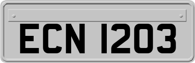 ECN1203