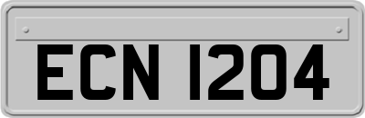 ECN1204