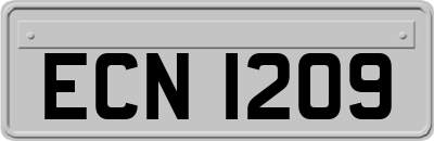 ECN1209