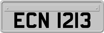 ECN1213