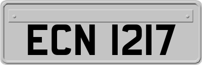 ECN1217