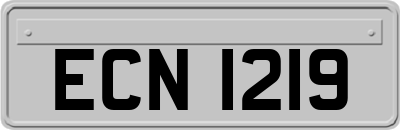 ECN1219