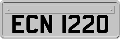 ECN1220