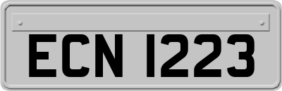 ECN1223
