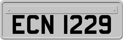 ECN1229