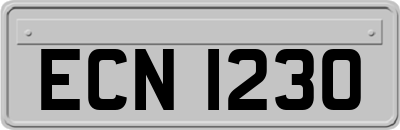 ECN1230
