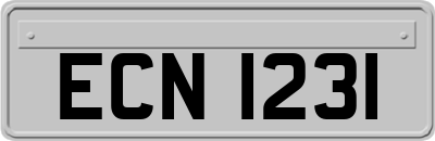 ECN1231