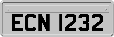 ECN1232