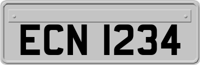 ECN1234