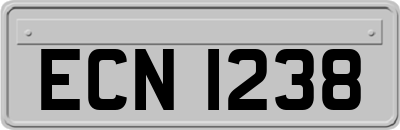 ECN1238