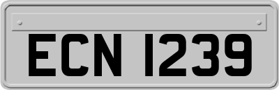 ECN1239