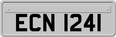 ECN1241